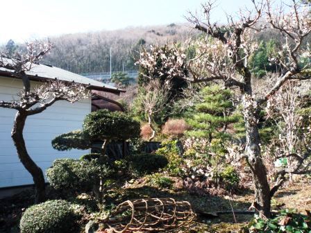 ��̎��Ȃ爤�Ή��@�Ó�̐A�؉��ł��B      �g�тO�X�O�|�X�P�O�O�|�Q�R�S�S