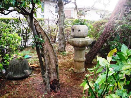 ��̎��Ȃ爤�Ή��@�Ó�̐A�؉��ł��B      �g�тO�X�O�|�X�P�O�O�|�Q�R�S�S