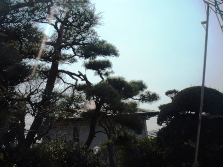 ��̎��Ȃ爤�Ή��@�Ó�̐A�؉��ł��B      �g�тO�X�O�|�X�P�O�O�|�Q�R�S�S