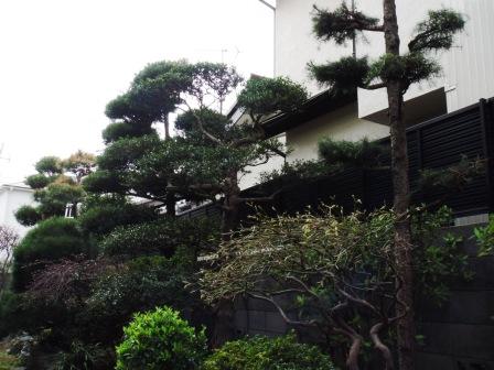 ��̎��Ȃ爤�Ή��@�Ó�̐A�؉��ł��B      �g�тO�X�O�|�X�P�O�O�|�Q�R�S�S