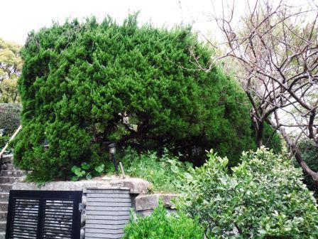 ��̎��Ȃ爤�Ή��@�Ó�̐A�؉��ł��B      �g�тO�X�O�|�X�P�O�O�|�Q�R�S�S