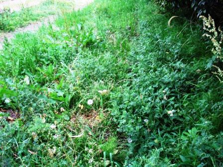 ��̎��Ȃ爤�Ή��@�Ó�̐A�؉��ł��B      �g�тO�X�O�|�X�P�O�O�|�Q�R�S�S