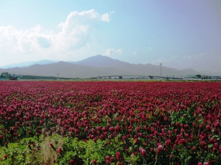 ��̎��Ȃ爤�Ή��@�Ó�̐A�؉��ł��B      �g�тO�X�O�|�X�P�O�O�|�Q�R�S�S