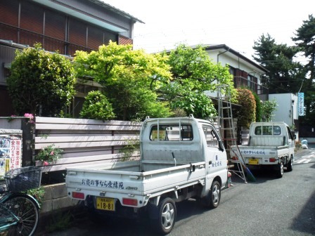 ��̎��Ȃ爤�Ή��@�Ó�̐A�؉��ł��B      �g�тO�X�O�|�X�P�O�O�|�Q�R�S�S