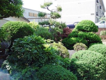 ��̎��Ȃ爤�Ή��@�Ó�̐A�؉��ł��B      �g�тO�X�O�|�X�P�O�O�|�Q�R�S�S