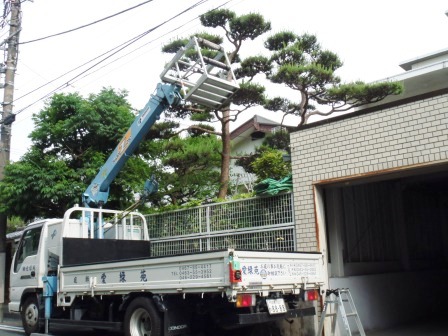 ��̎��Ȃ爤�Ή��@�Ó�̐A�؉��ł��B      �g�тO�X�O�|�X�P�O�O�|�Q�R�S�S