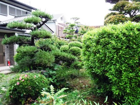 ��̎��Ȃ爤�Ή��@�Ó�̐A�؉��ł��B      �g�тO�X�O�|�X�P�O�O�|�Q�R�S�S