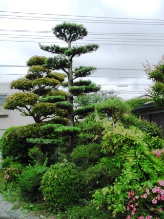 ��̎��Ȃ爤�Ή��@�Ó�̐A�؉��ł��B      �g�тO�X�O�|�X�P�O�O�|�Q�R�S�S