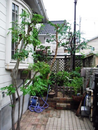 ��̎��Ȃ爤�Ή��@�Ó�̐A�؉��ł��B      �g�тO�X�O�|�X�P�O�O�|�Q�R�S�S