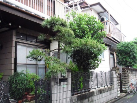 ��̎��Ȃ爤�Ή��@�Ó�̐A�؉��ł��B      �g�тO�X�O�|�X�P�O�O�|�Q�R�S�S