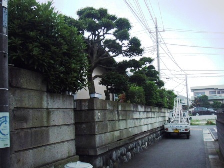 ��̎��Ȃ爤�Ή��@�Ó�̐A�؉��ł��B      �g�тO�X�O�|�X�P�O�O�|�Q�R�S�S