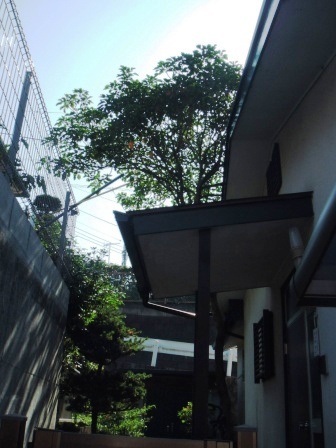 ��̎��Ȃ爤�Ή��@�Ó�̐A�؉��ł��B      �g�тO�X�O�|�X�P�O�O�|�Q�R�S�S