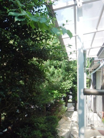 ��̎��Ȃ爤�Ή��@�Ó�̐A�؉��ł��B      �g�тO�X�O�|�X�P�O�O�|�Q�R�S�S