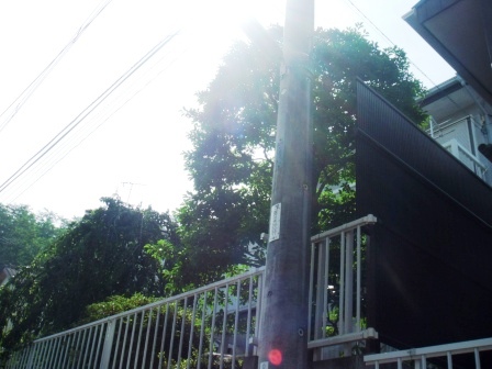 ��̎��Ȃ爤�Ή��@�Ó�̐A�؉��ł��B      �g�тO�X�O�|�X�P�O�O�|�Q�R�S�S