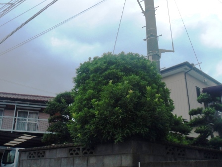 ��̎��Ȃ爤�Ή��@�Ó�̐A�؉��ł��B      �g�тO�X�O�|�X�P�O�O�|�Q�R�S�S