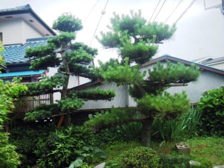 ��̎��Ȃ爤�Ή��@�Ó�̐A�؉��ł��B      �g�тO�X�O�|�X�P�O�O�|�Q�R�S�S