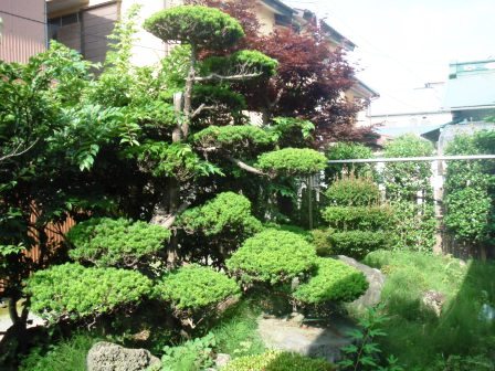 ��̎��Ȃ爤�Ή��@�Ó�̐A�؉��ł��B      �g�тO�X�O�|�X�P�O�O�|�Q�R�S�S