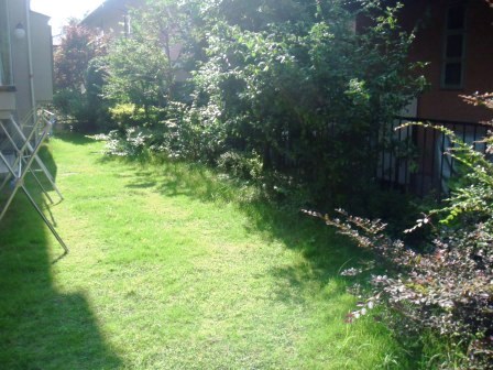 ��̎��Ȃ爤�Ή��@�Ó�̐A�؉��ł��B      �g�тO�X�O�|�X�P�O�O�|�Q�R�S�S