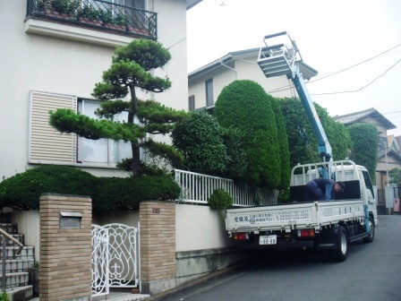 ��̎��Ȃ爤�Ή��@�Ó�̐A�؉��ł��B      �g�тO�X�O�|�X�P�O�O�|�Q�R�S�S