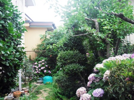 ��̎��Ȃ爤�Ή��@�Ó�̐A�؉��ł��B      �g�тO�X�O�|�X�P�O�O�|�Q�R�S�S