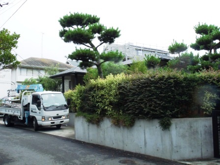 ��̎��Ȃ爤�Ή��@�Ó�̐A�؉��ł��B      �g�тO�X�O�|�X�P�O�O�|�Q�R�S�S