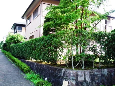 ��̎��Ȃ爤�Ή��@�Ó�̐A�؉��ł��B      �g�тO�X�O�|�X�P�O�O�|�Q�R�S�S