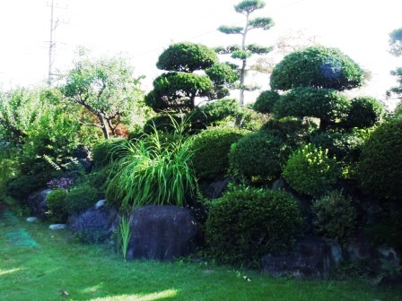 ��̎��Ȃ爤�Ή��@�Ó�̐A�؉��ł��B      �g�тO�X�O�|�X�P�O�O�|�Q�R�S�S