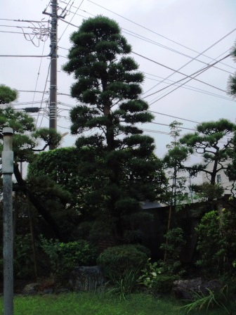 ��̎��Ȃ爤�Ή��@�Ó�̐A�؉��ł��B      �g�тO�X�O�|�X�P�O�O�|�Q�R�S�S