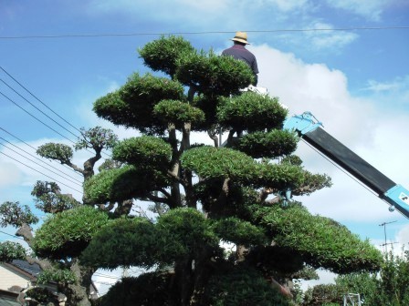 ��̎��Ȃ爤�Ή��@�Ó�̐A�؉��ł��B      �g�тO�X�O�|�X�P�O�O�|�Q�R�S�S