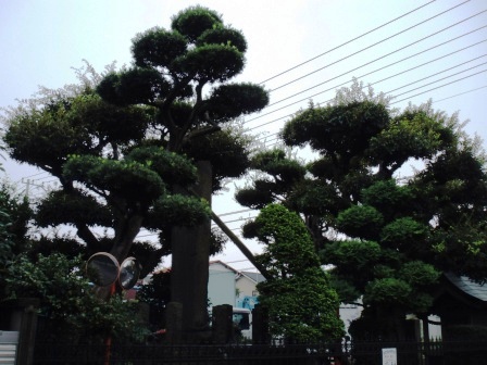 ��̎��Ȃ爤�Ή��@�Ó�̐A�؉��ł��B      �g�тO�X�O�|�X�P�O�O�|�Q�R�S�S