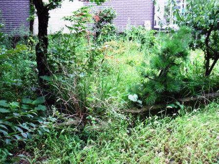 ��̎��Ȃ爤�Ή��@�Ó�̐A�؉��ł��B      �g�тO�X�O�|�X�P�O�O�|�Q�R�S�S