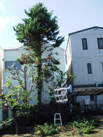 ��̎��Ȃ爤�Ή��@�Ó�̐A�؉��ł��B      �g�тO�X�O�|�X�P�O�O�|�Q�R�S�S