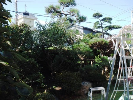 ��̎��Ȃ爤�Ή��@�Ó�̐A�؉��ł��B      �g�тO�X�O�|�X�P�O�O�|�Q�R�S�S