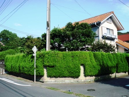 ��̎��Ȃ爤�Ή��@�Ó�̐A�؉��ł��B      �g�тO�X�O�|�X�P�O�O�|�Q�R�S�S