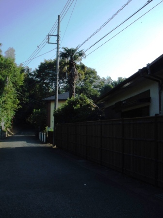 ��̎��Ȃ爤�Ή��@�Ó�̐A�؉��ł��B      �g�тO�X�O�|�X�P�O�O�|�Q�R�S�S