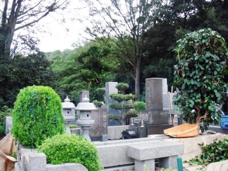 ��̎��Ȃ爤�Ή��@�Ó�̐A�؉��ł��B      �g�тO�X�O�|�X�P�O�O�|�Q�R�S�S