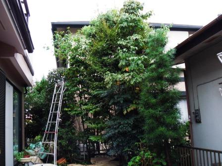 ��̎��Ȃ爤�Ή��@�Ó�̐A�؉��ł��B      �g�тO�X�O�|�X�P�O�O�|�Q�R�S�S