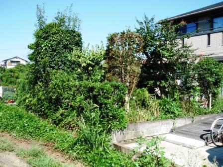 ��̎��Ȃ爤�Ή��@�Ó�̐A�؉��ł��B      �g�тO�X�O�|�X�P�O�O�|�Q�R�S�S