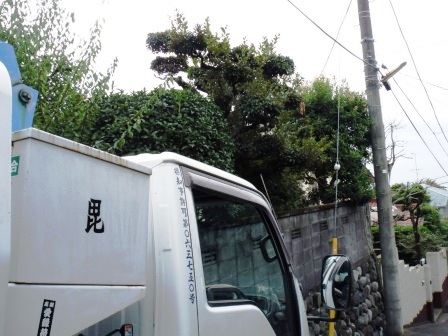 ��̎��Ȃ爤�Ή��@�Ó�̐A�؉��ł��B      �g�тO�X�O�|�X�P�O�O�|�Q�R�S�S