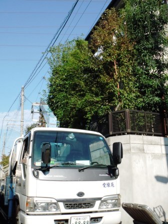 ��̎��Ȃ爤�Ή��@�Ó�̐A�؉��ł��B      �g�тO�X�O�|�X�P�O�O�|�Q�R�S�S