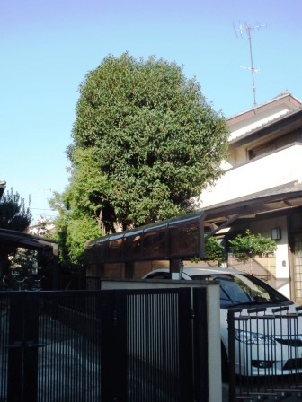 ��̎��Ȃ爤�Ή��@�Ó�̐A�؉��ł��B      �g�тO�X�O�|�X�P�O�O�|�Q�R�S�S