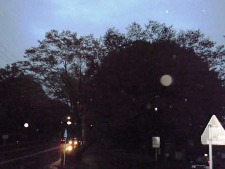 ��̎��Ȃ爤�Ή��@�Ó�̐A�؉��ł��B      �g�тO�X�O�|�X�P�O�O�|�Q�R�S�S