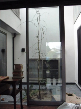 ��̎��Ȃ爤�Ή��@�Ó�̐A�؉��ł��B      �g�тO�X�O�|�X�P�O�O�|�Q�R�S�S