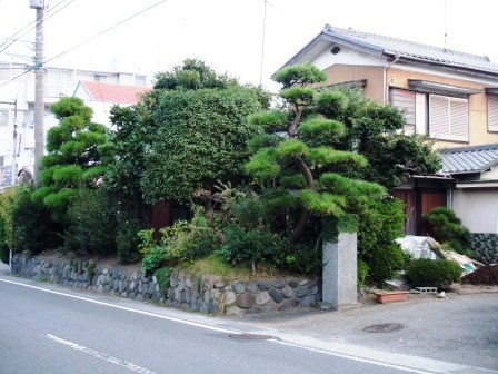 ��̎��Ȃ爤�Ή��@�Ó�̐A�؉��ł��B      �g�тO�X�O�|�X�P�O�O�|�Q�R�S�S