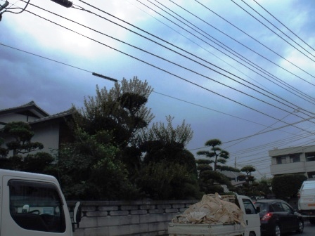 ��̎��Ȃ爤�Ή��@�Ó�̐A�؉��ł��B      �g�тO�X�O�|�X�P�O�O�|�Q�R�S�S