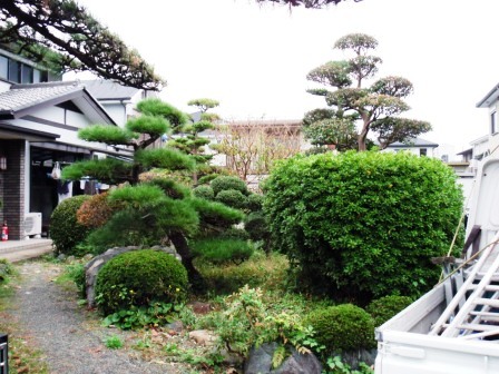 ��̎��Ȃ爤�Ή��@�Ó�̐A�؉��ł��B      �g�тO�X�O�|�X�P�O�O�|�Q�R�S�S