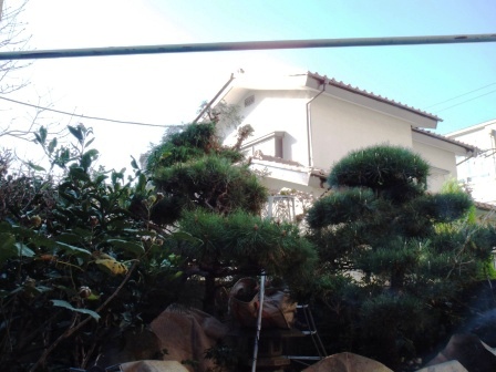 ��̎��Ȃ爤�Ή��@�Ó�̐A�؉��ł��B      �g�тO�X�O�|�X�P�O�O�|�Q�R�S�S