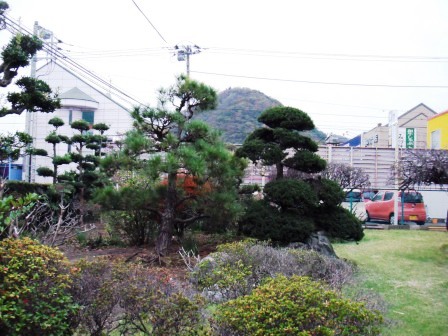 ��̎��Ȃ爤�Ή��@�Ó�̐A�؉��ł��B      �g�тO�X�O�|�X�P�O�O�|�Q�R�S�S