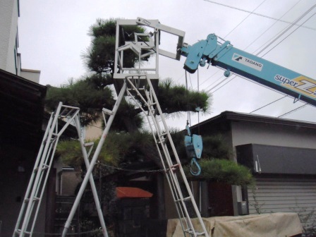 ��̎��Ȃ爤�Ή��@�Ó�̐A�؉��ł��B      �g�тO�X�O�|�X�P�O�O�|�Q�R�S�S