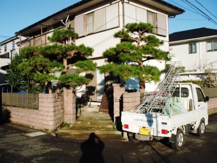 ��̎��Ȃ爤�Ή��@�Ó�̐A�؉��ł��B      �g�тO�X�O�|�X�P�O�O�|�Q�R�S�S